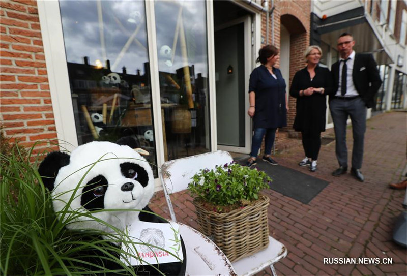 В нидерландском городе Ренен - бум больших панд