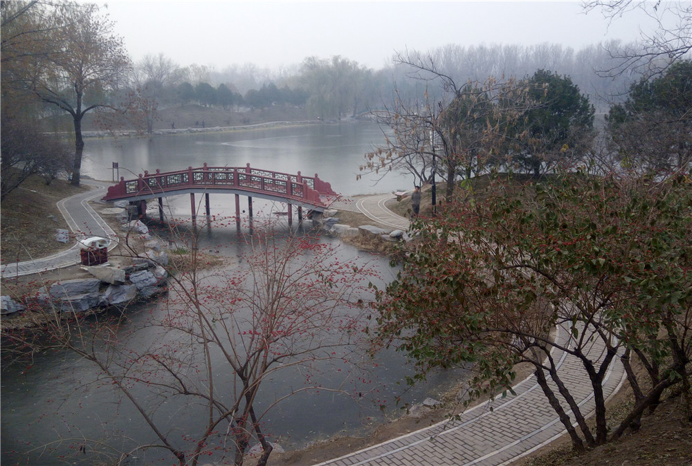 Поздняя осень в парке Yuanmingyuan ( 圆明园), Пекин, ноябрь 2016 г.