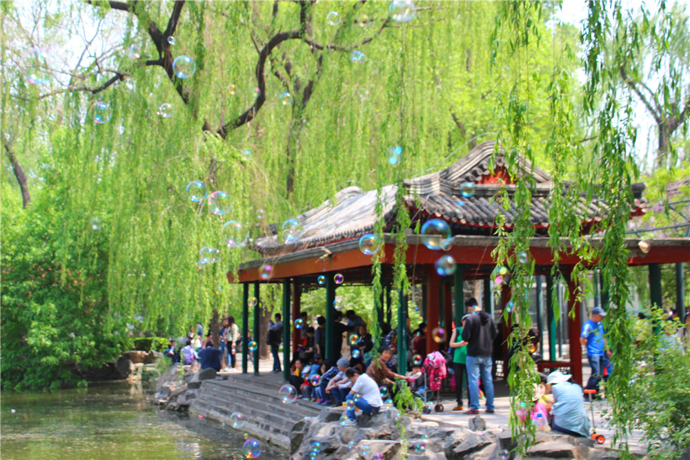 Зоопарк Пекина, 24.04.2016.