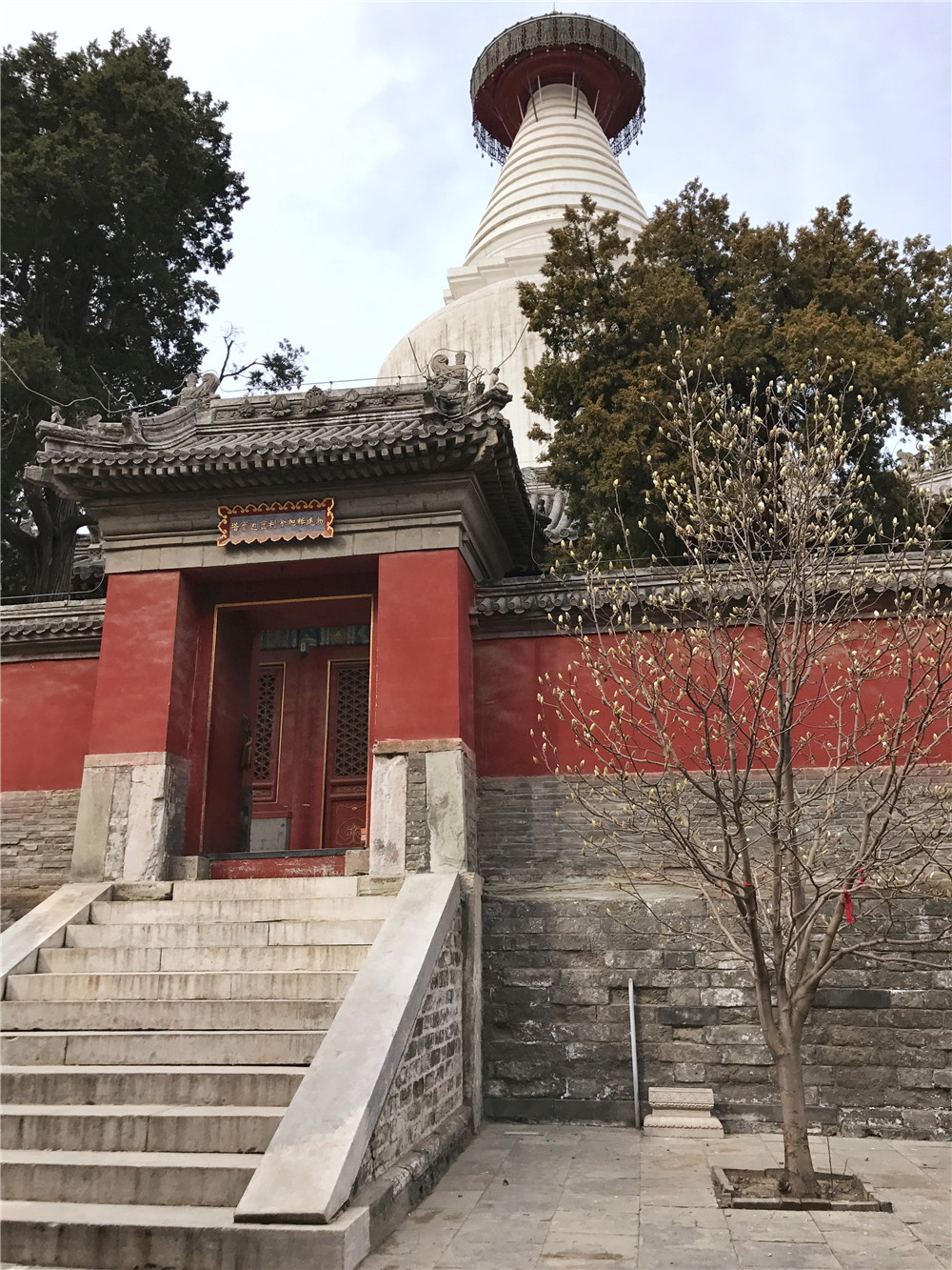«Старшая сестра Белой пагоды в Бэйхае». Храм Байтасы, Пекин, март 2017 г.