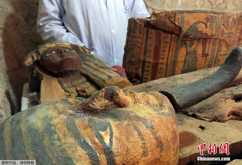В Египте нашли шесть древнеегипетских мумий