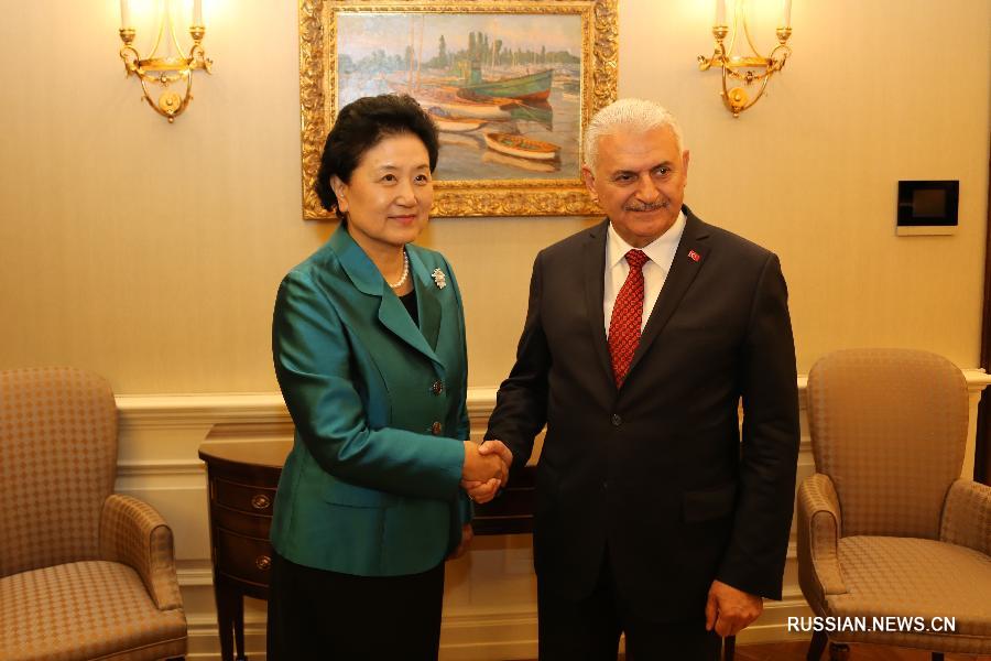 Лю Яньдун провела встречу с премьер-министром Турции Бинали Йылдырымом