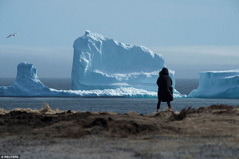 Возле острова Ньюфаундленд обнаружили большой айсберг