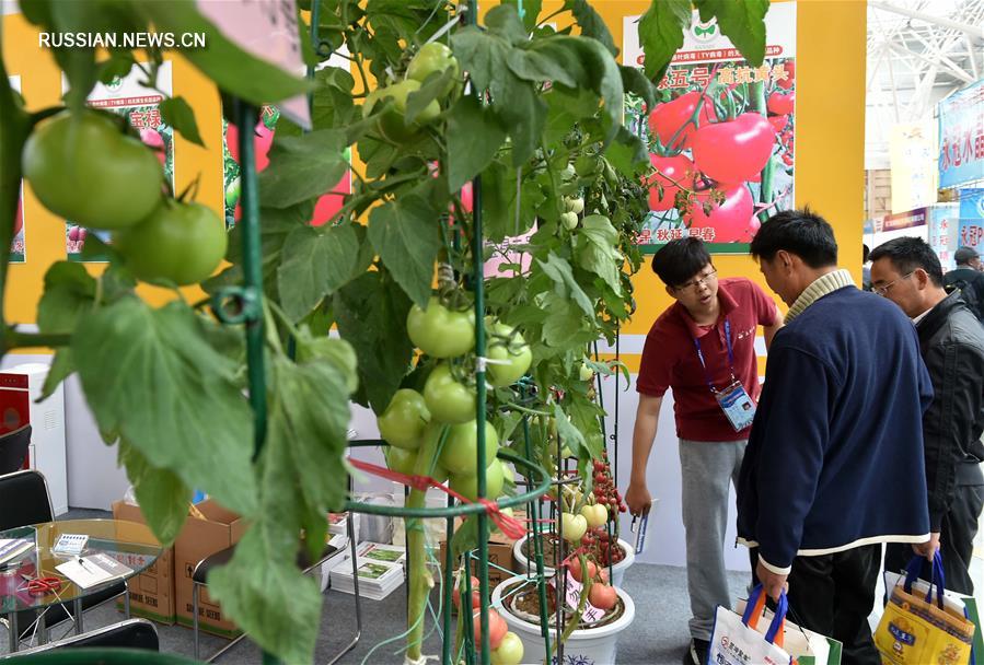 В Шоугуане открылась 18-я Китайская международная овощная научно-техническая выставка