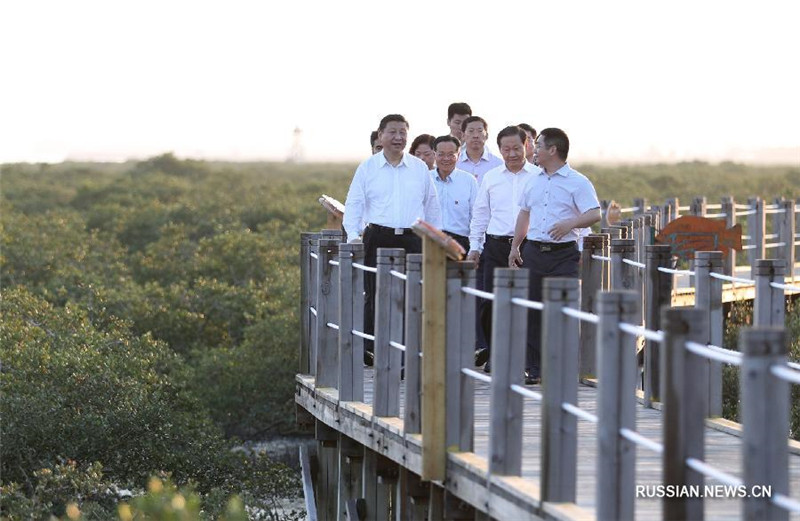 Си Цзиньпин надеется на большую роль Гуанси в реализации инициативы "Пояс и путь"