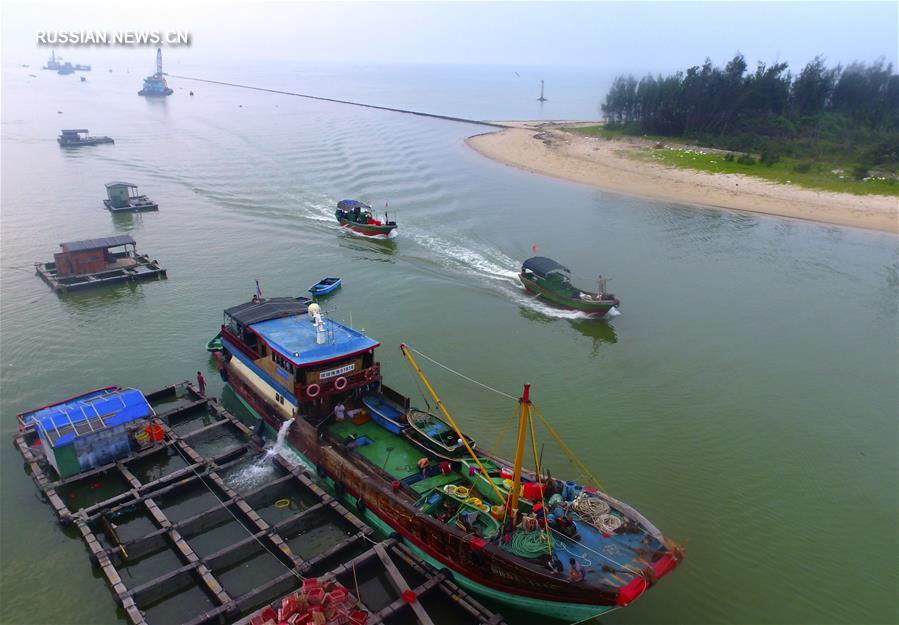 С 1 мая в Китае вступает в действие летний запрет на лов рыбы