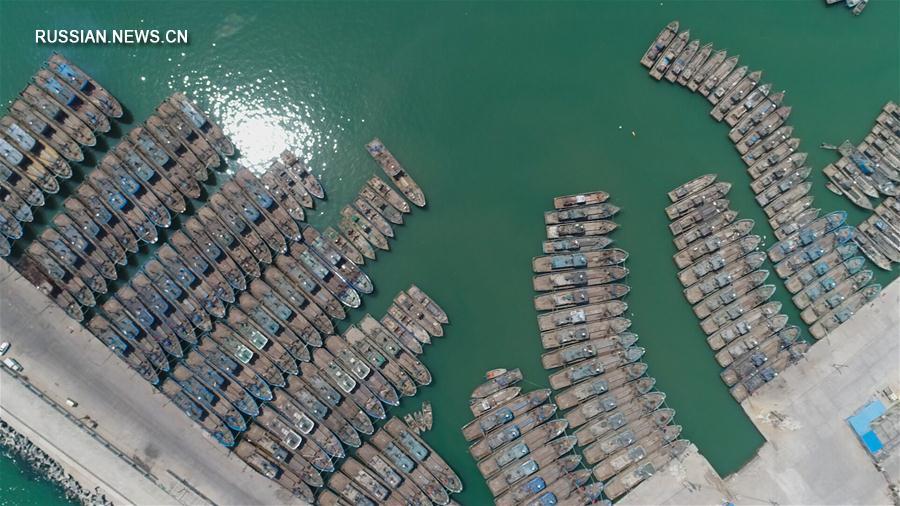 В Китае вступил в действие сезонный запрет на лов рыбы
