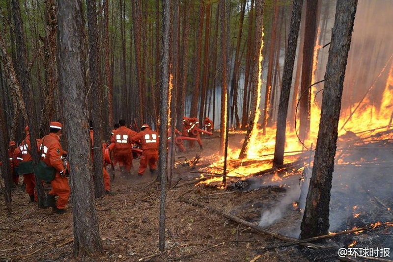 Пожар из России перекинулся на леса Внутренней Монголии