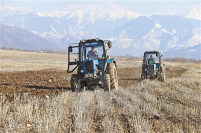 Китайско-казахстанская демонстрационная зона сельскохозяйственных инноваций: работа на улучшение благосостояния двух народов