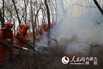 Лесной пожар в Большом Хингане взят под контроль