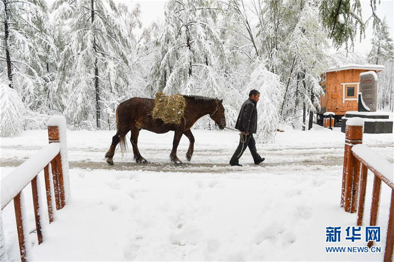Во Внутреней Монголии выпал снег накануне начала лета