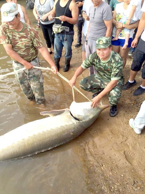 Рыбак поймал редкую рыбу и продал ее за 86 тыс юаней