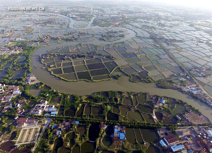 В Хучжоу восстанавливается древняя система тутовых рыбоводных прудов