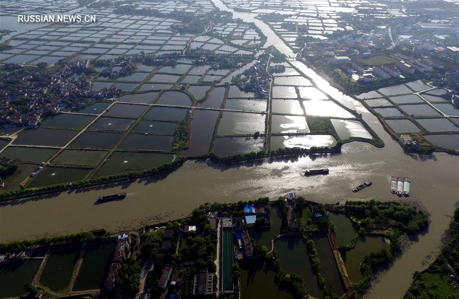 В Хучжоу восстанавливается древняя система тутовых рыбоводных прудов
