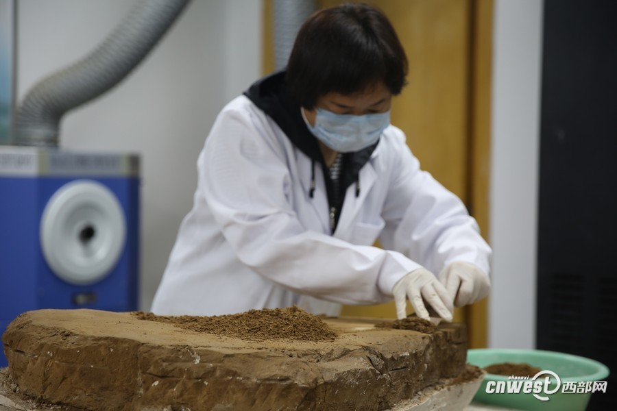 Для реставрации погребальных статуэток династии Хань не хватает специалистов