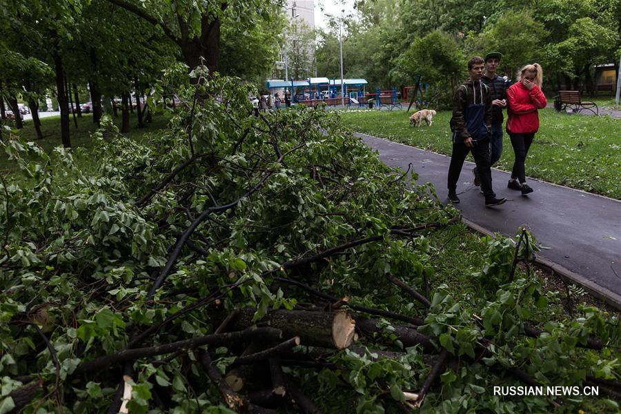 Ураган в Москве унес жизни 11 человек, более 50 пострадали
