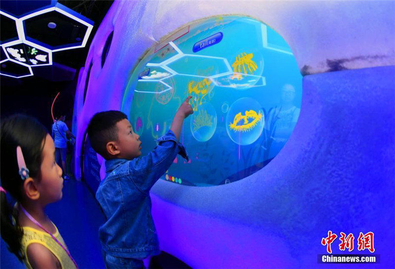 Крупнейший в Китае аквариум медуз открылся в Чэнду