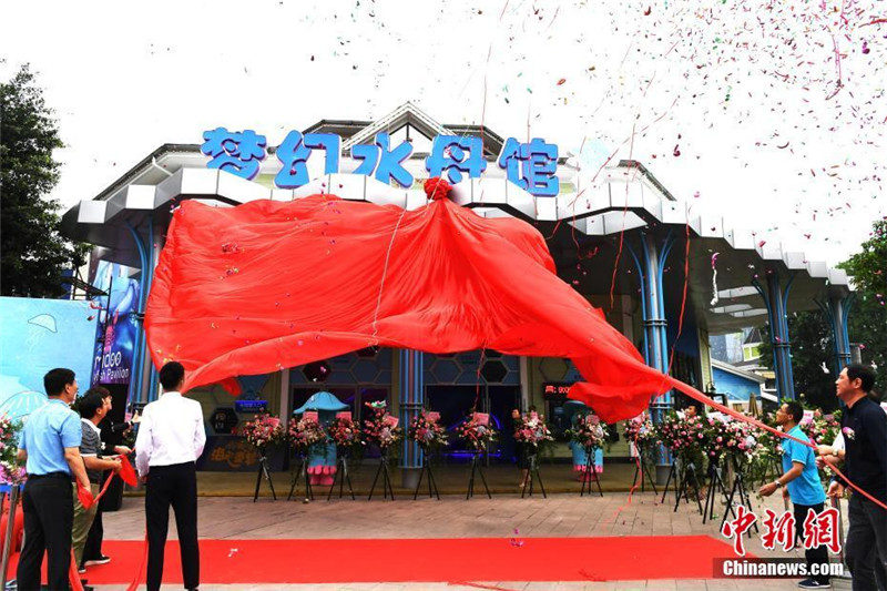 Крупнейший в Китае аквариум медуз открылся в Чэнду