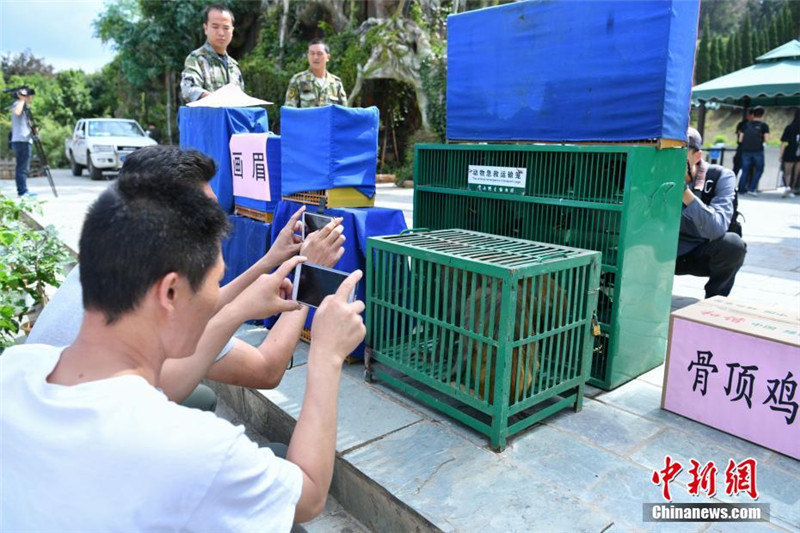 266 диких животных выпущены на волю в провинции Юньнань