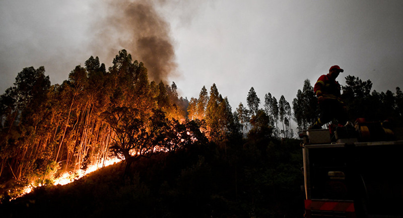 Число погибших при лесных пожарах в Португалии возросло до 57 человек