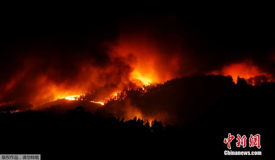 Число погибших при лесных пожарах в Португалии возросло до 57 человек