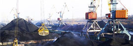 «У русских уголь вредный, газ поганый, атом паршивый»