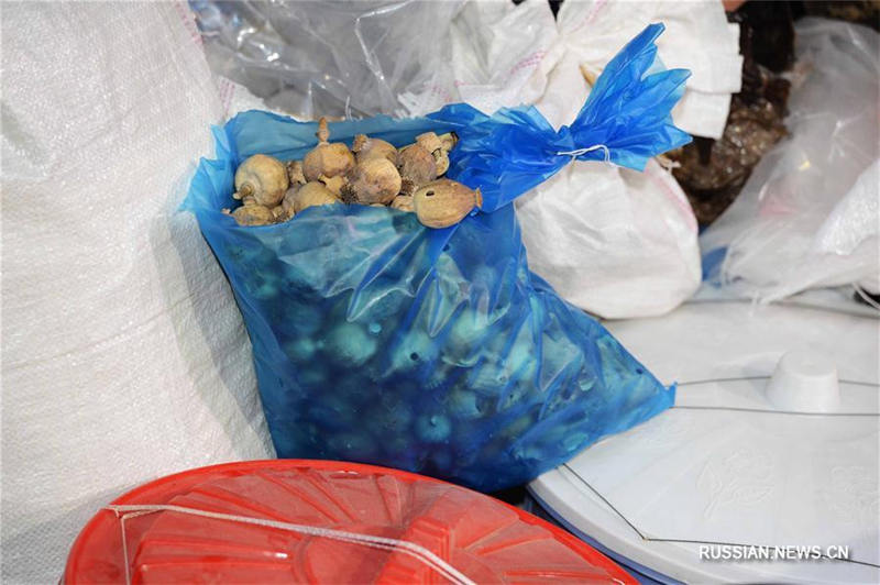 В Узбекистане уничтожили более 2 тонн наркотических средств