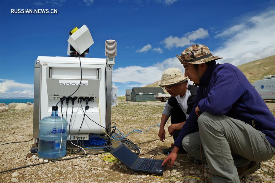 Китайские ученые исследуют животный и растительный мир Цинхай-Тибетского нагорья
