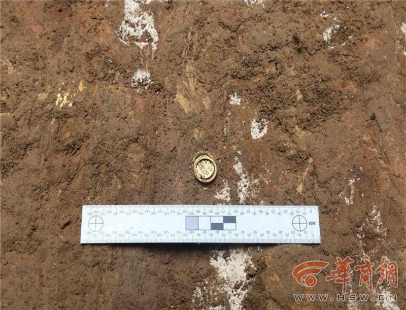 В шэньсийском захоронении обнаружены самые древние в Китае иностранные монеты