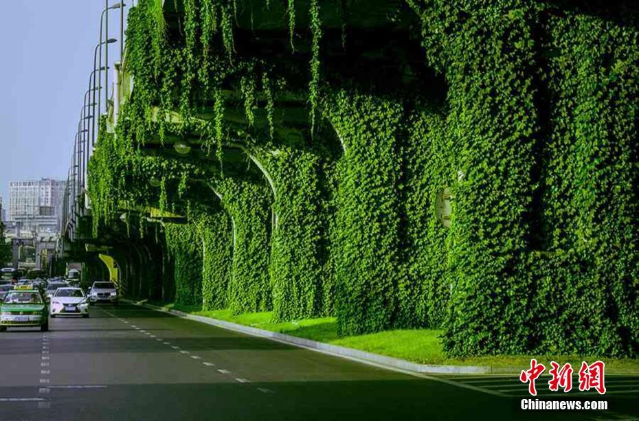 “Зеленый коридор” под эстакадой в Чэнду