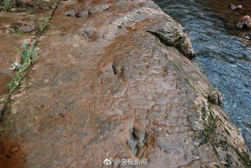 В отмели реки в Китае были обнаружены следы динозавров, оставленных ими 100 млн лет назад
