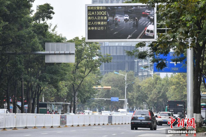 На большом экране улицы в Куньмине высветились машины автомобилистов, не уступавших дорогу пешеходам на зебре