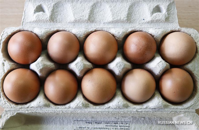 Скандалы в связи с появлением "ядовитых яиц" на полках магазинов в ряде европейских стран обостряются