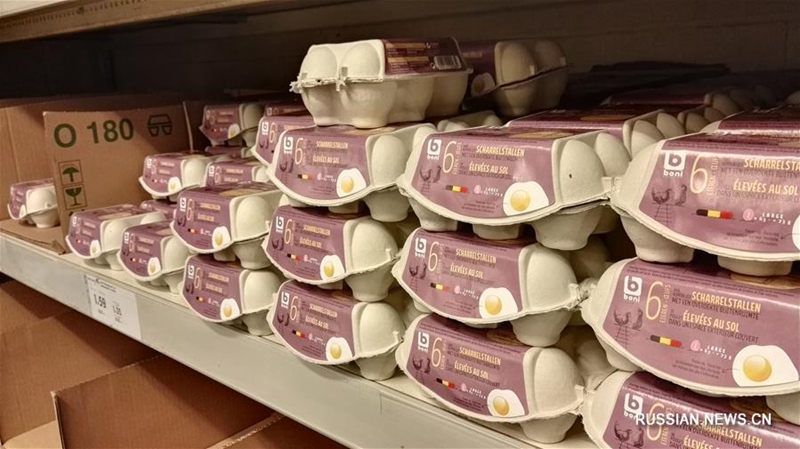 Скандалы в связи с появлением "ядовитых яиц" на полках магазинов в ряде европейских стран обостряются