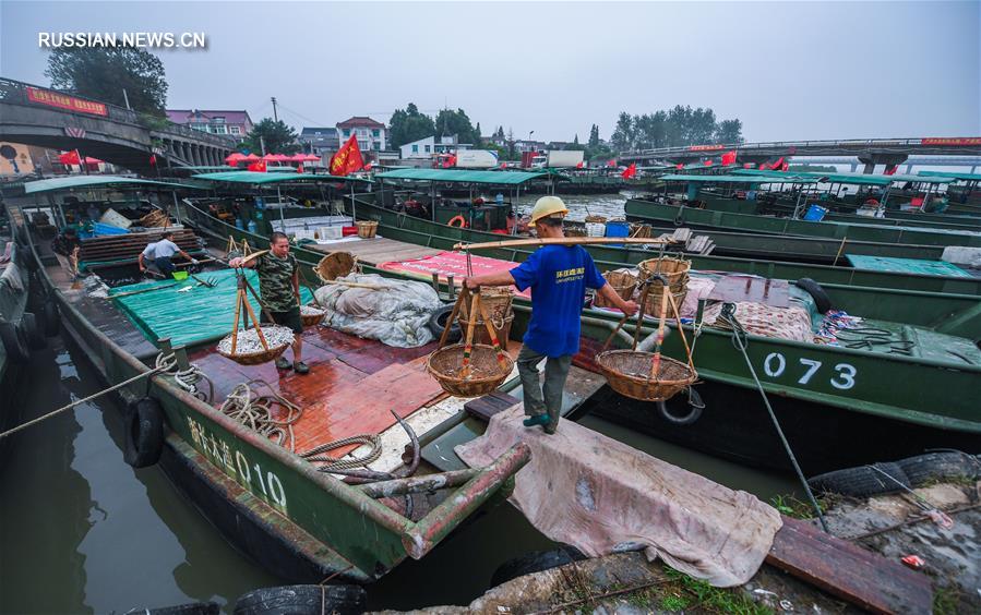 Рыболовный сезон на озере Тайху