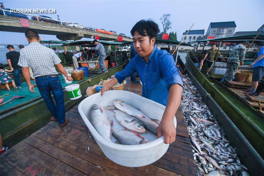Рыболовный сезон на озере Тайху