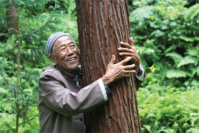 В Гуйчжоу 85-летний китаец занимается посадкой деревьев за счет кредитов и займов