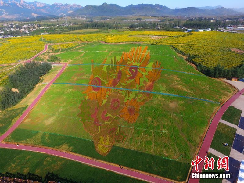 В Циньхуандао появилась огромная картина Ван Гога "Подсолнухи"