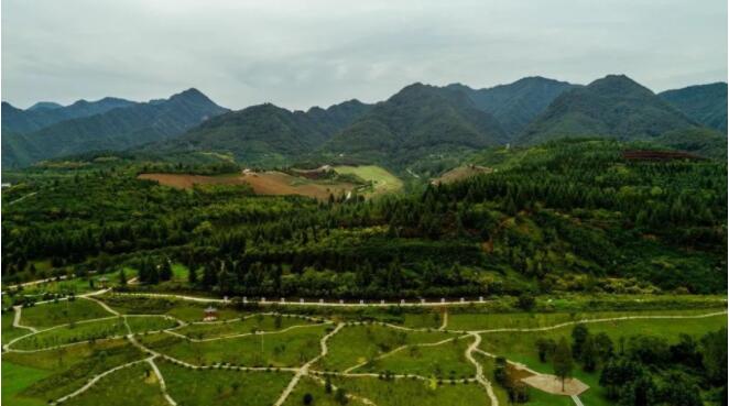 В Китае откроется первый национальный ботанический сад