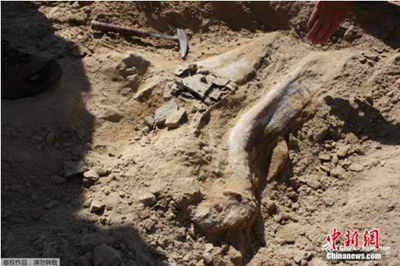 В провинции Гуанси обнаружен окаменелый череп предка человека