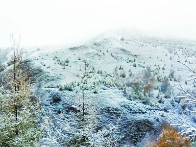 В горных районах Пекина выпал снег