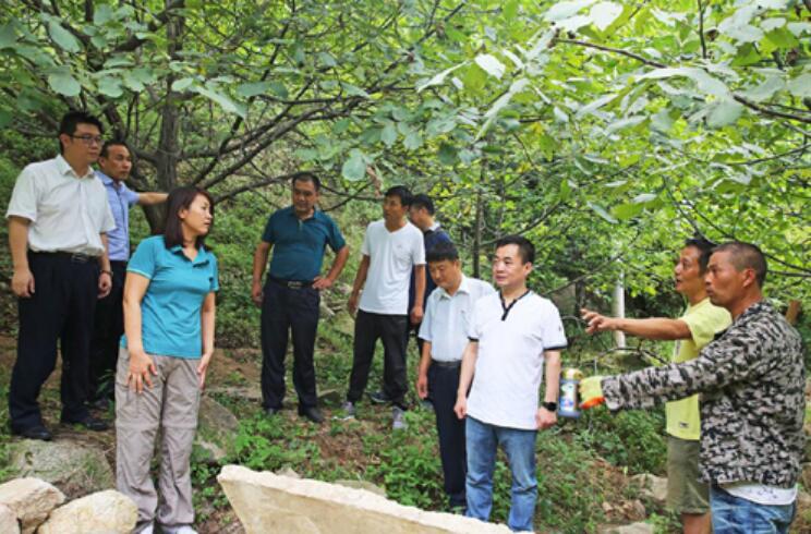 Ли И приехал в уезд Ланьтянь с инспекцией работы по борьбе с нищетой