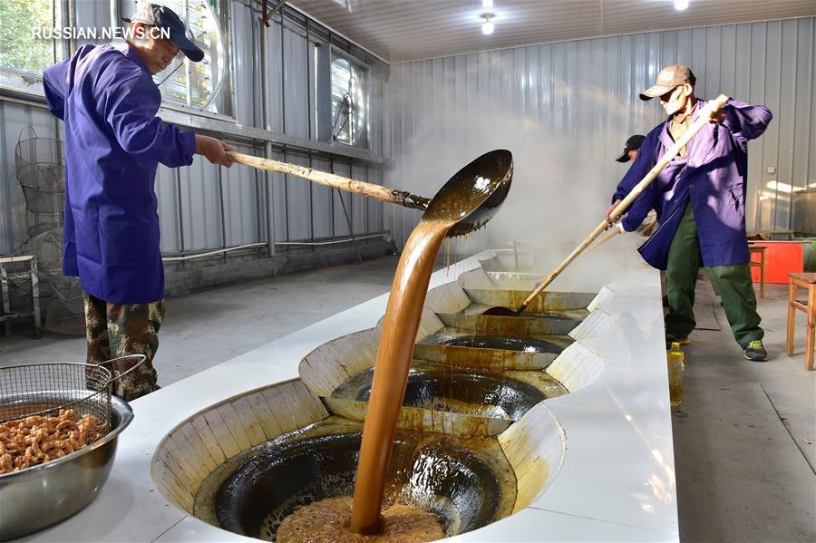 Производственный сезон на "родине коричневого сахара"