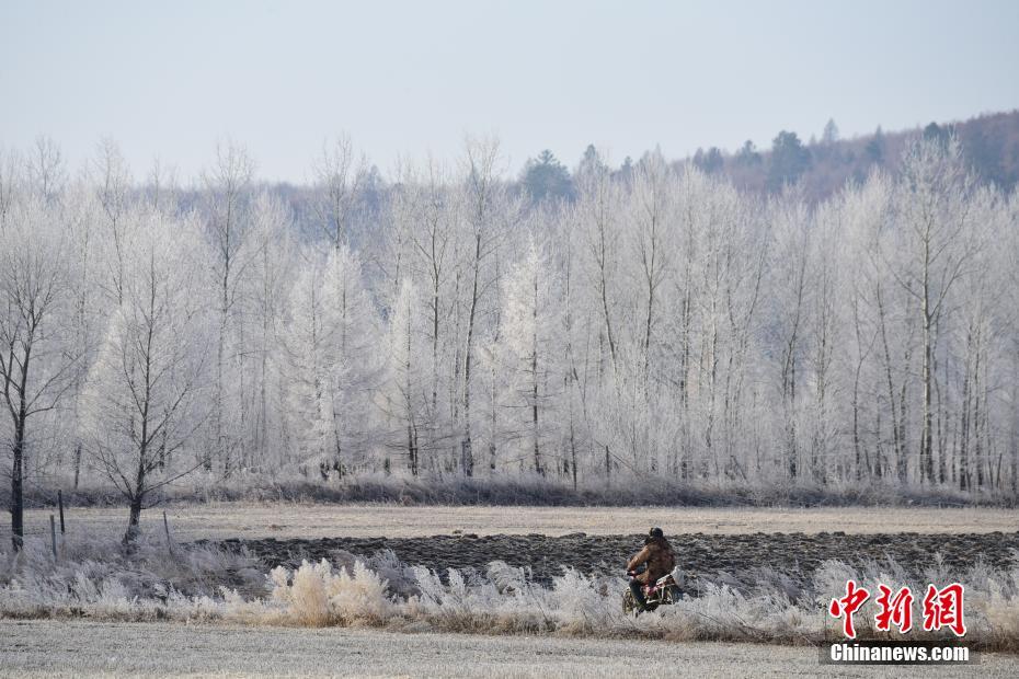 На берегах реки между Россией и Китаем деревья покрылись инеем 