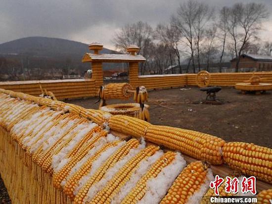 Китайские крестьяне построили дом из 20 тыс. кукурузных початков