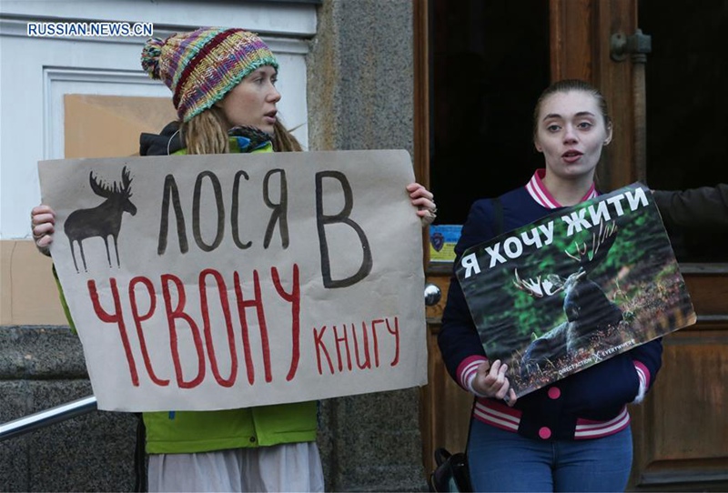 Украина намерена внести лося в "Красную книгу"