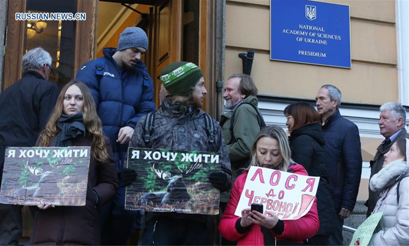 Украина намерена внести лося в "Красную книгу"