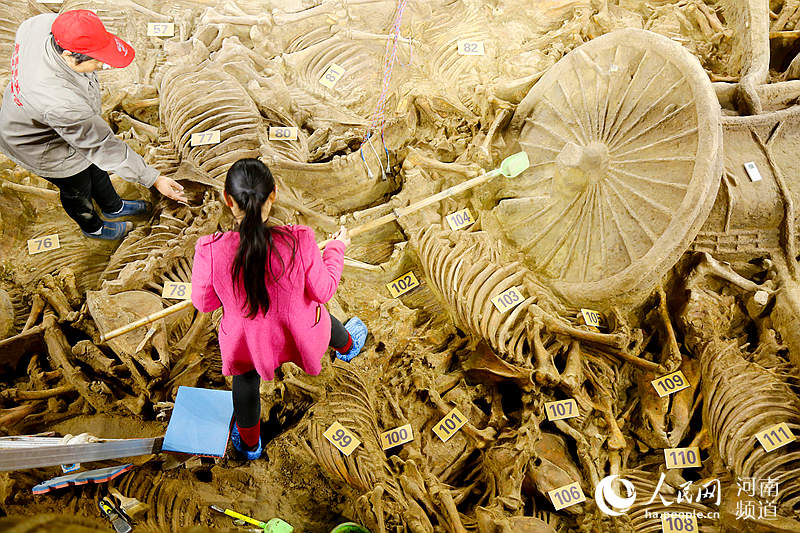 В Чжэнчжоу обнаружены останки погребальных лошадей
