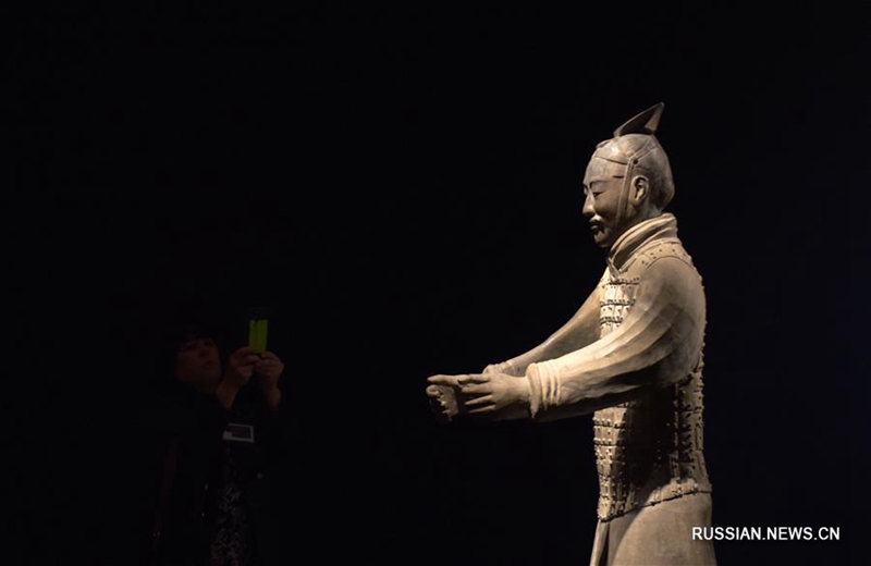 Выставка терракотовых статуй воинов и коней из гробницы Цинь Шихуанди в США