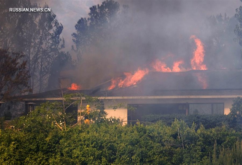 Власти Калифорнии объявили ЧП в связи с лесным пожаром